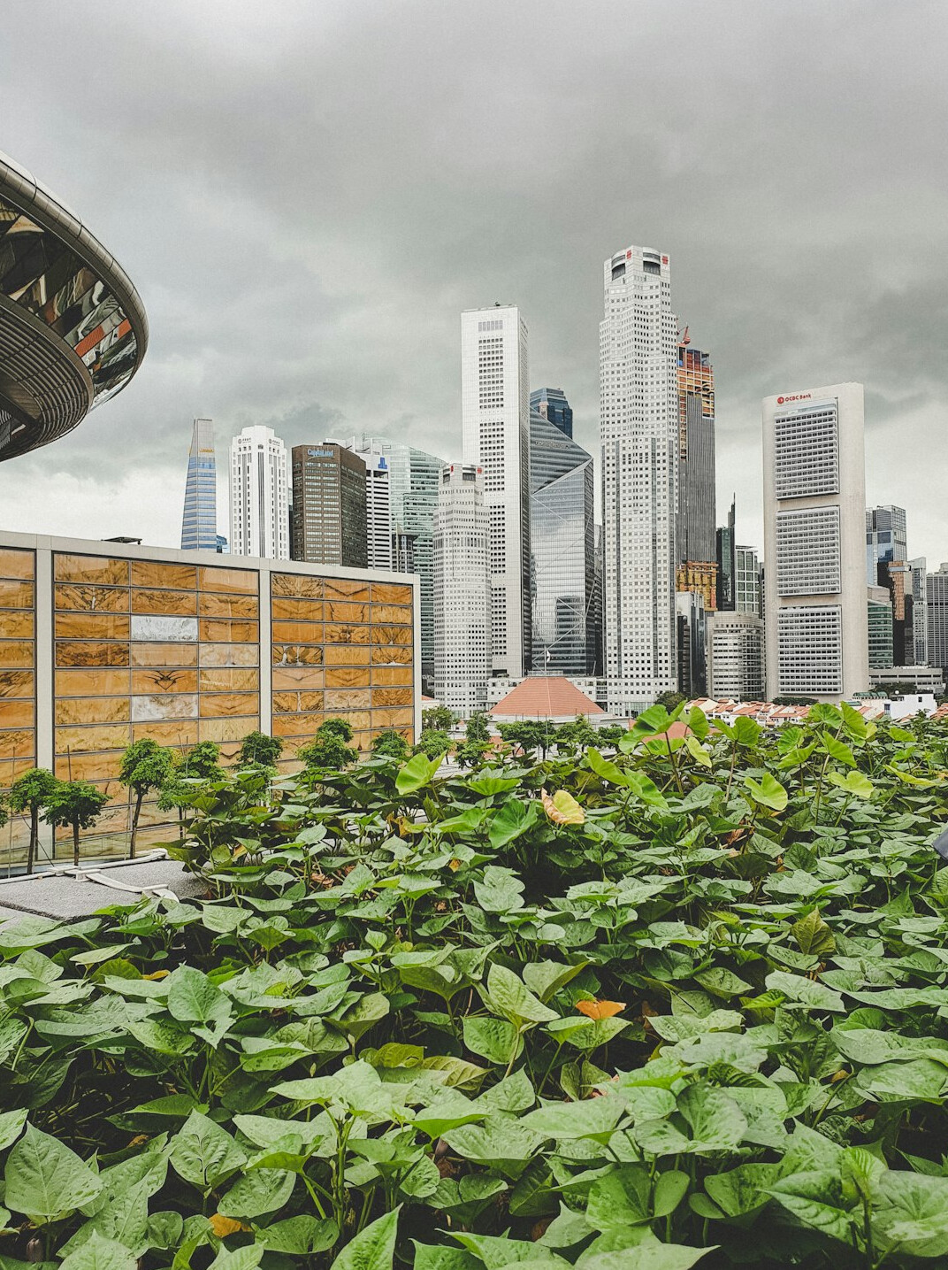 Singapore central business district skyline with skyscrapers and greenery